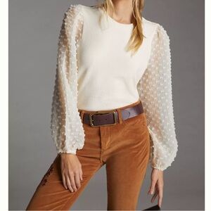 Anthropologie Maeve Textured Sheer Sleeves  XXS Sheer Sleeve Cream Top